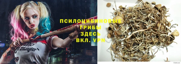 ECSTASY Алексеевка
