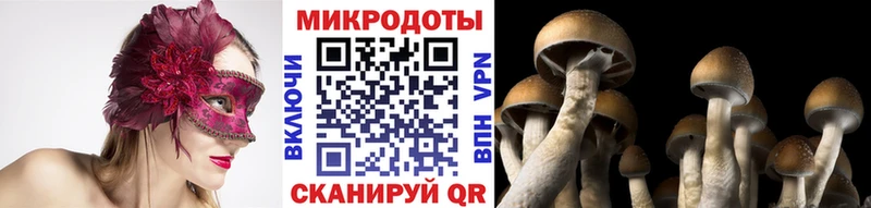 как найти   Староминская  Галлюциногенные грибы Cubensis 